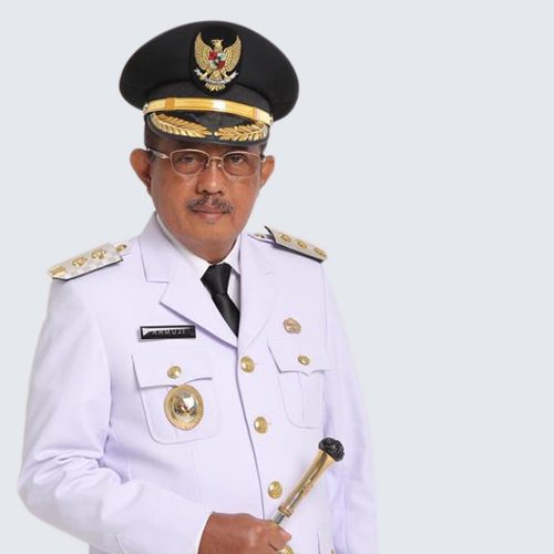 wakil walikota armuji